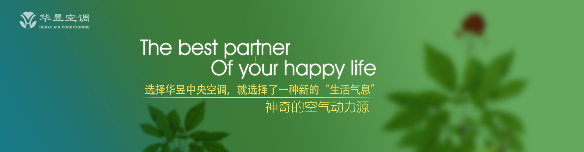 鲁殿灵光网